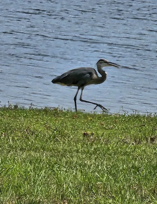 Clear Springs Campground e 17 Picture 7