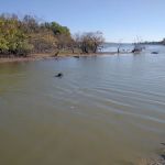 Clear Springs Campground e 17