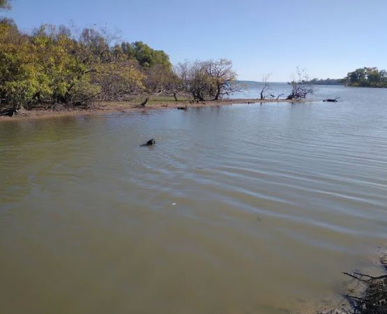 Clear Springs Campground e 17