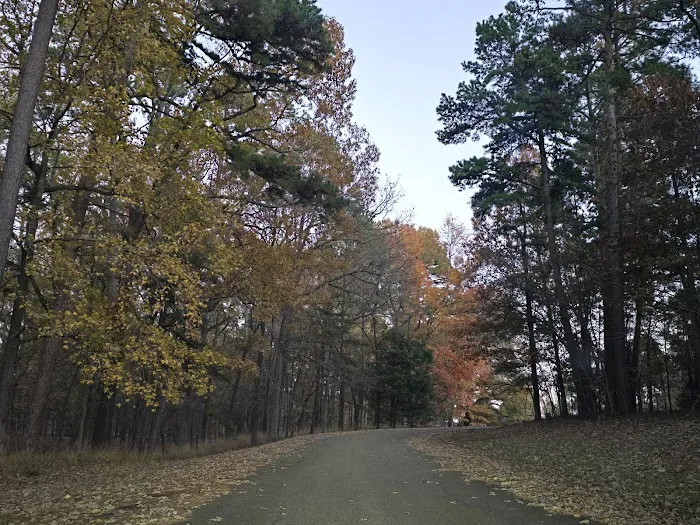 Piney Point (recgovnpsdata) Picture 4