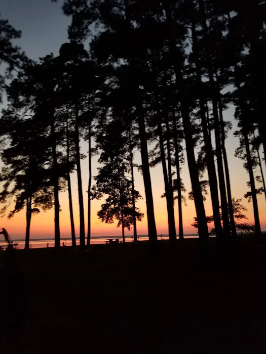 Piney Point (recgovnpsdata) Picture 3