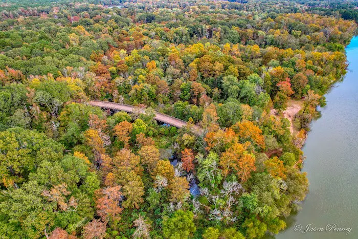 Cahoots Springs Picture 1