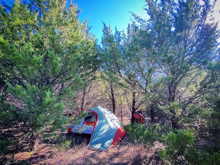 Sugar Hill Adventures Picture 5