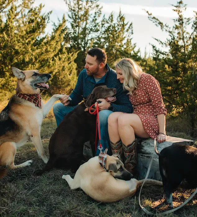 Sugar Hill Adventures Picture 3