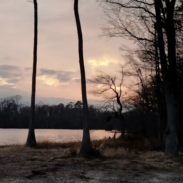 Taste Of Heaven Campground Picture 4