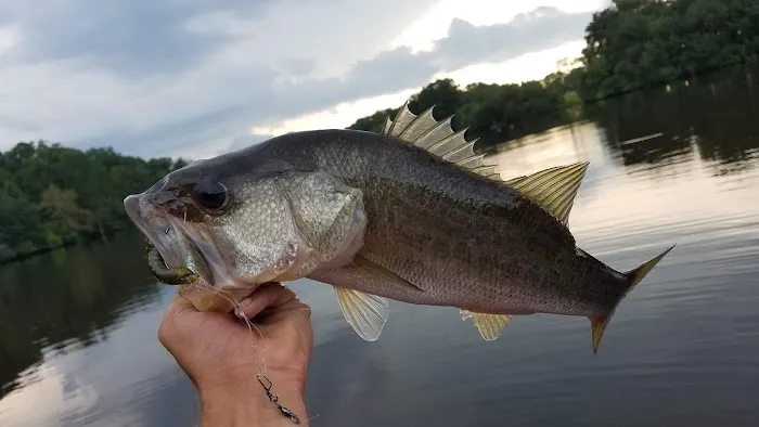 Panther Lake Picture 1