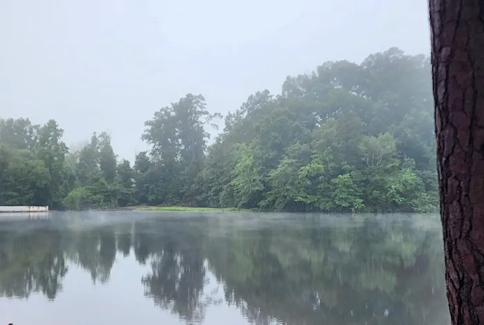 Panther Lake Picture 5