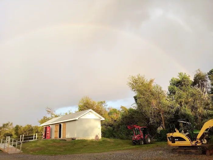 Bayou Resorts Campground & Cabins LLC Picture 8