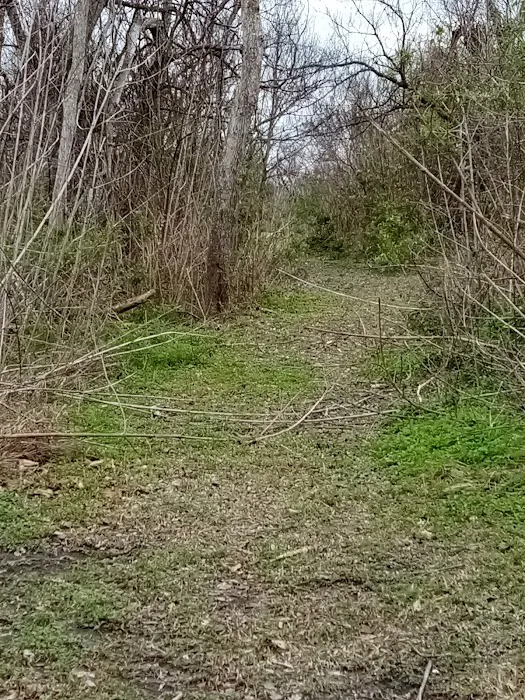 Bayou Resorts Campground & Cabins LLC Picture 5