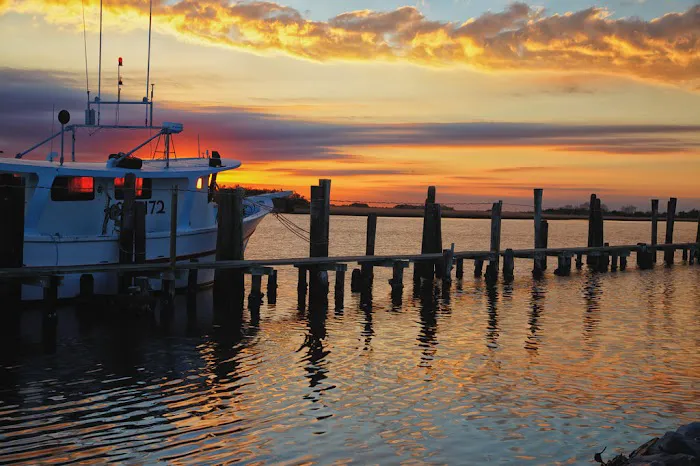 Bobby Lynn's Marina Inc & RV Park Picture 3