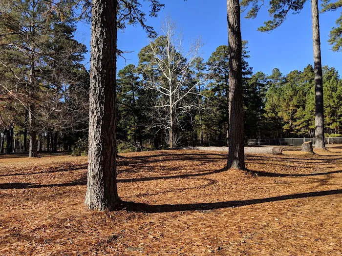 USDA Forest Service Picture 1