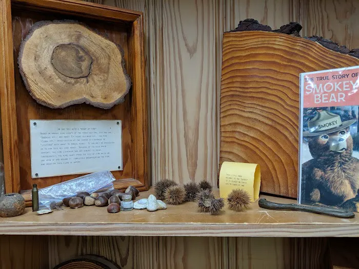 USDA Forest Service Picture 9