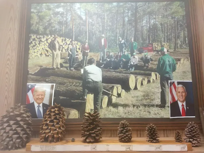 USDA Forest Service Picture 8