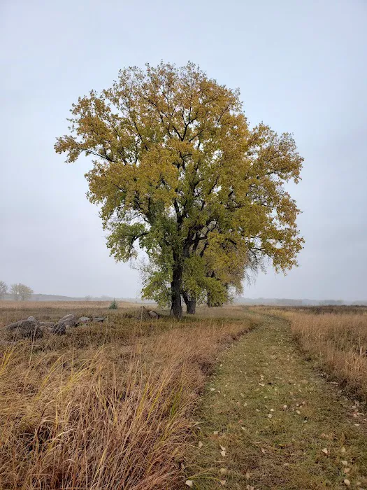 BIG STONE LAKE STATE PARK CAMPGROUND Picture 1