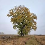 BIG STONE LAKE STATE PARK CAMPGROUND