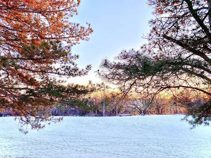 Camp Iyataka Picture 4