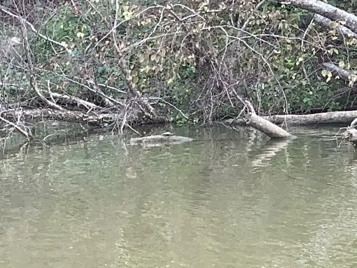 Waverly Campground Picture 5