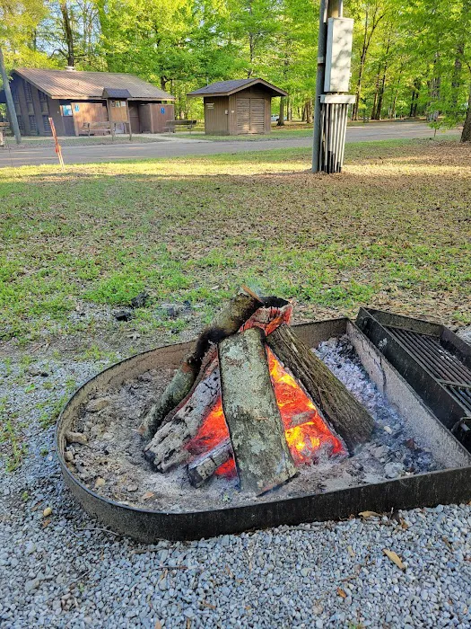 Dewayne Hayes Campground Picture 7