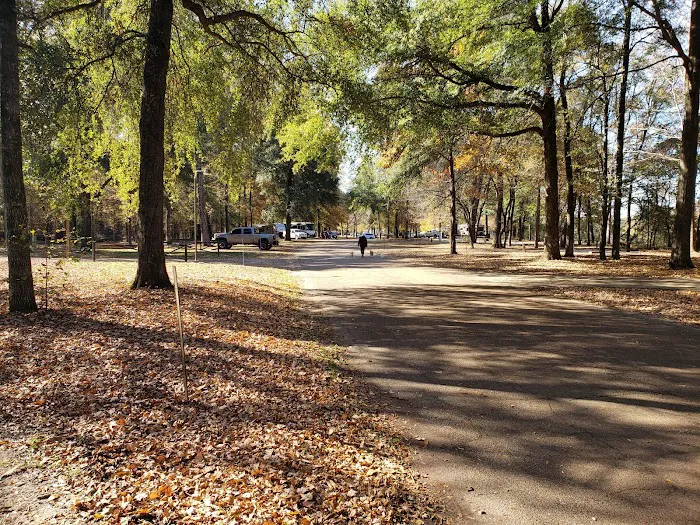 Dewayne Hayes Campground Picture 2