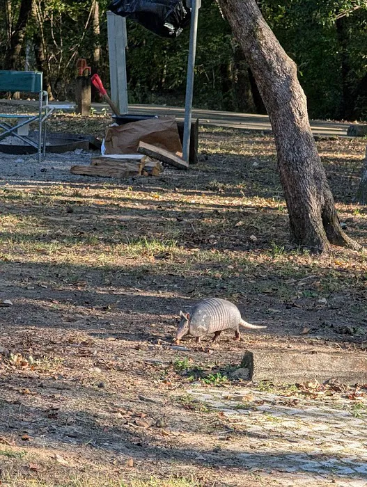 Dewayne Hayes Campground Picture 1