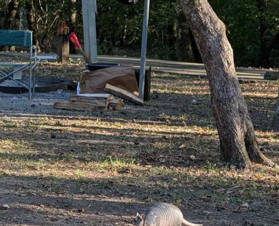 Dewayne Hayes Campground