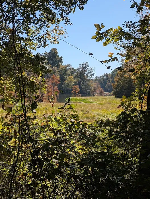 Dewayne Hayes Campground Picture 10