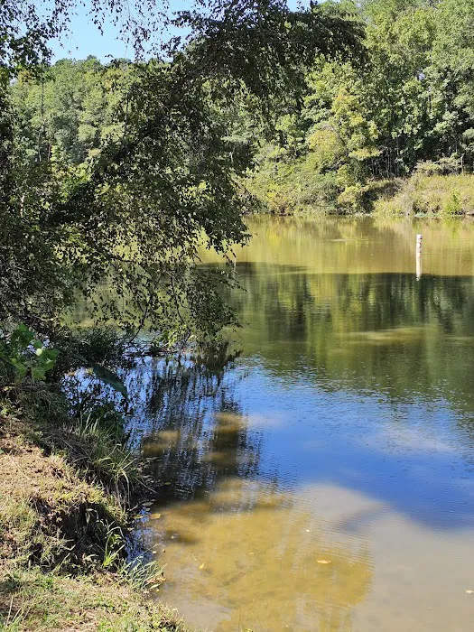 Town Creek Campground Picture 9