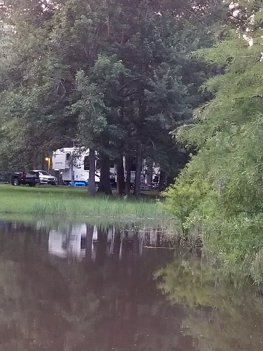 Twiltley Branch Campground Picture 1