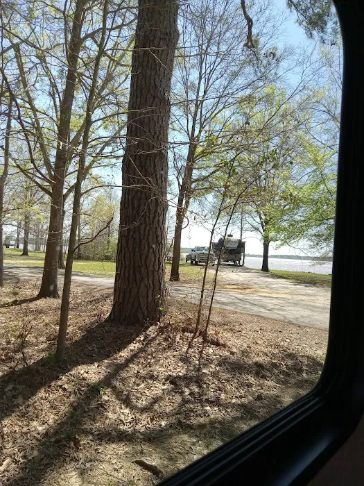 Twiltley Branch Campground Picture 3