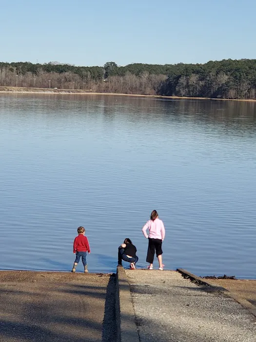 Gin Creek Campground Picture 4