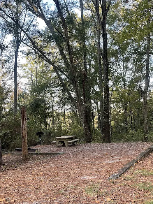 Gin Creek Campground Picture 2