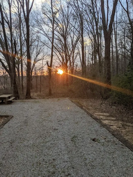 Gin Creek Campground Picture 7