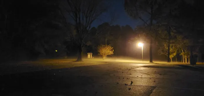 Gin Creek Campground Picture 3