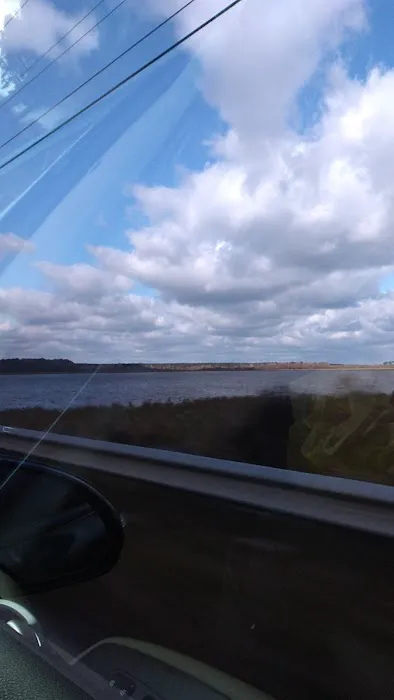 Gin Creek Campground Picture 6