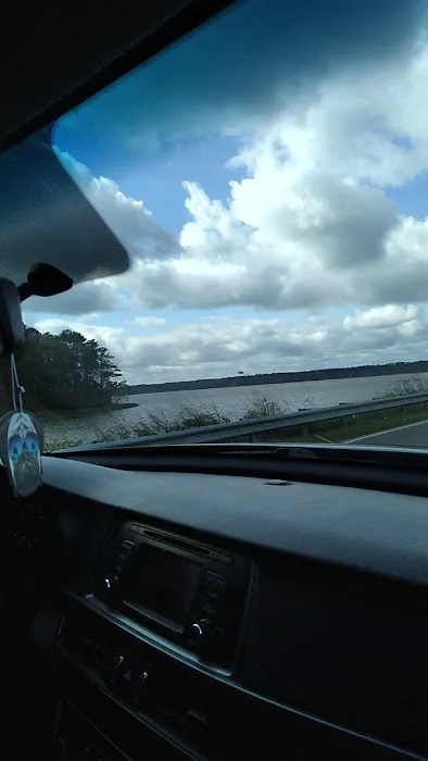 Gin Creek Campground Picture 5