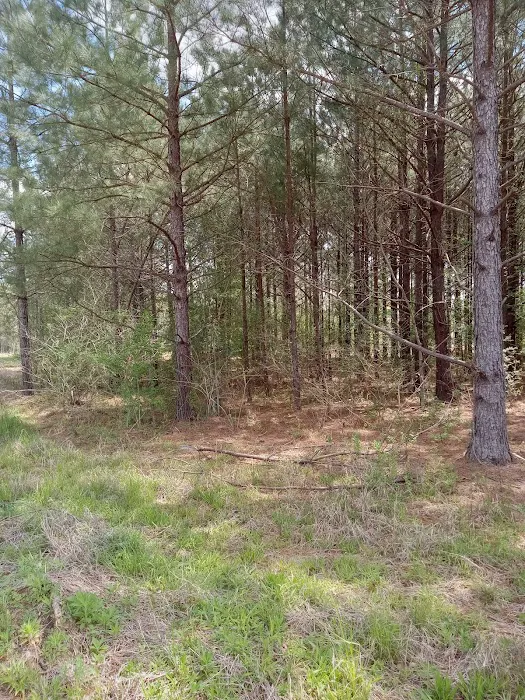 ST.AUGUSTINE FARMS Picture 5