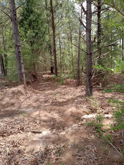 ST.AUGUSTINE FARMS Picture 3