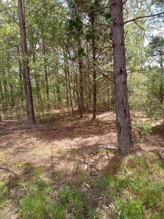 ST.AUGUSTINE FARMS Picture 6