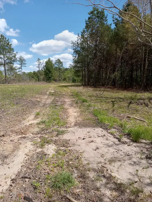 ST.AUGUSTINE FARMS Picture 2