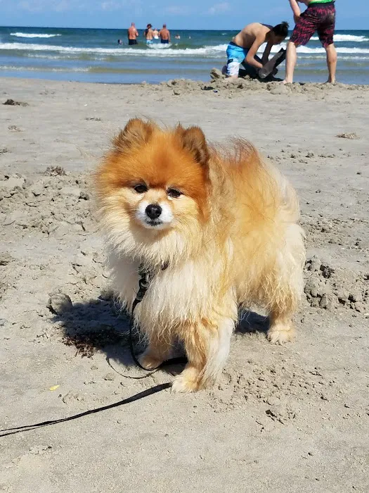 Nueces County Coastal Parks Picture 6