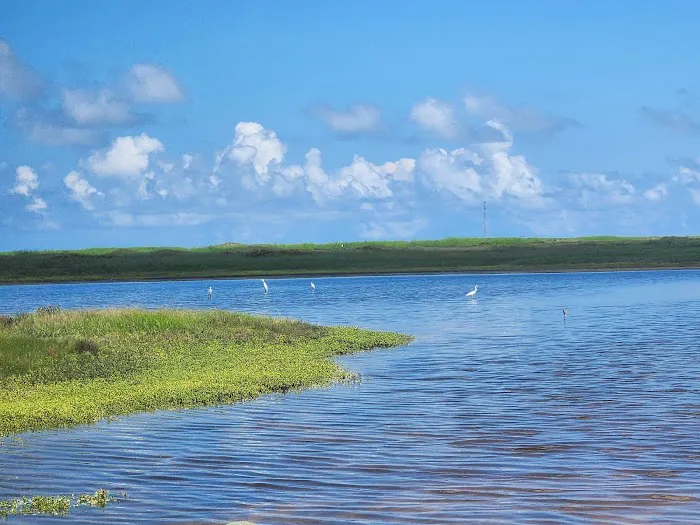Bird Island Basin Campground Picture 1
