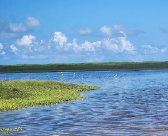Bird Island Basin Campground