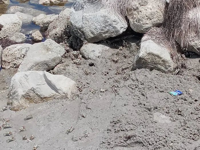 Bird Island Basin Campground Picture 10