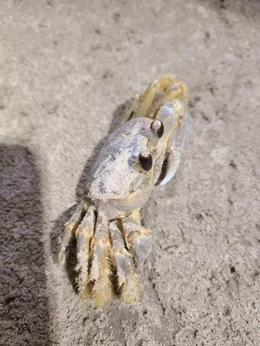 Malaquite Campground Picture 2