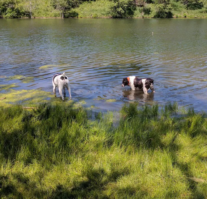 Crystal Lake Campground Picture 10