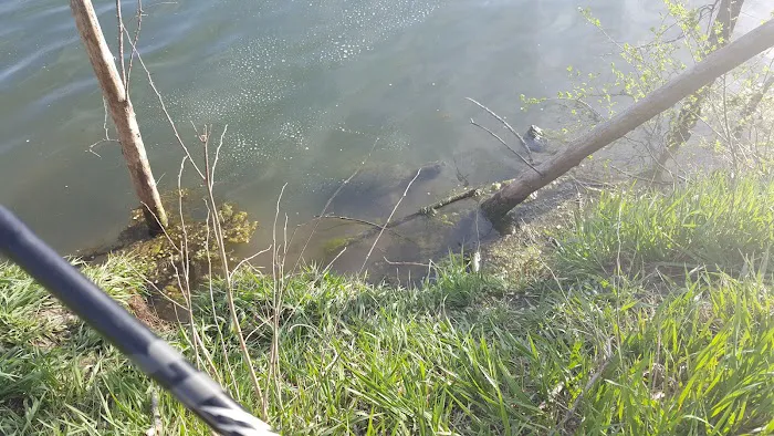 Crystal Lake Campground Picture 1