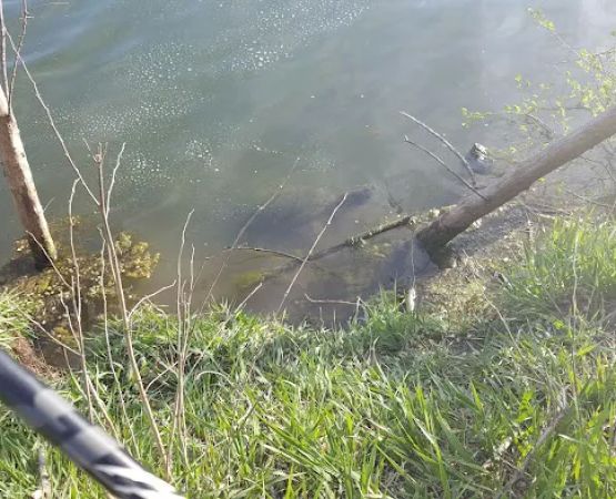 Crystal Lake Campground