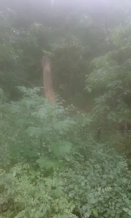 Crystal Lake Campground Picture 6