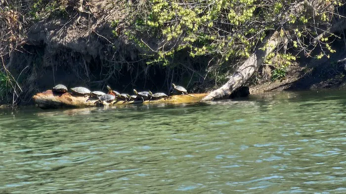 Crystal Lake Campground Picture 5