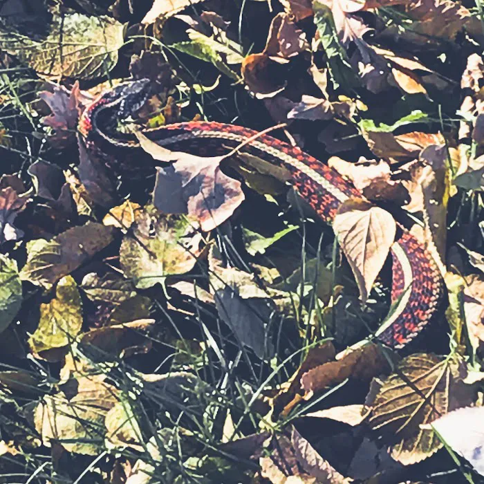 Harbine Park Campground Picture 7